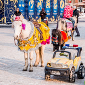 Новогодняя программа «2015 – время открытий!» пройдёт 31 декабря во Владивостоке