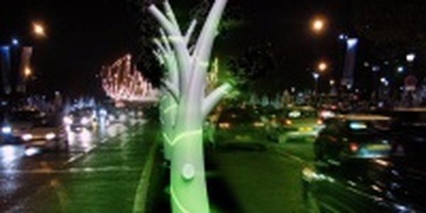 Деревья-фонари: освещают улицы и вырабатывают кислород