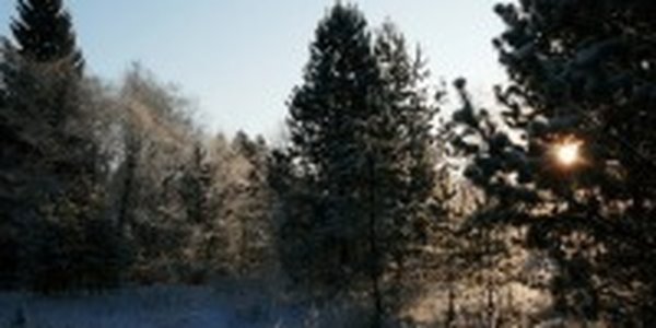 И снова в Приморье снег