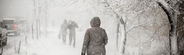 Снегопады с сильным ветром и метелями ожидают Приморье на Новый год