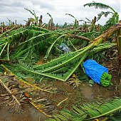Тропический циклон Яси обрушился на Австралию 
