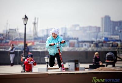 Аномально тёплая погода в Приморье сменится небольшим похолоданием в субботу