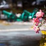 Во Владивостоке пройдет небольшой дождь