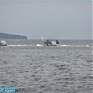 Сегодня ночью в западной части Приморья начнется дождь
