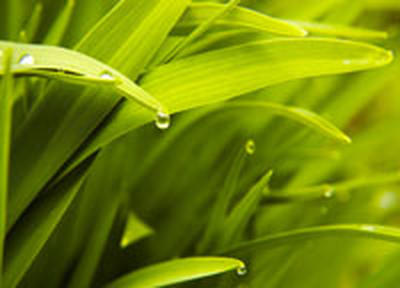 Сегодня в Приморье будет немного по-летнему