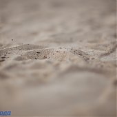 Обновленный пляж мыса Кунгасный вновь открыт для жителей Владивостока
