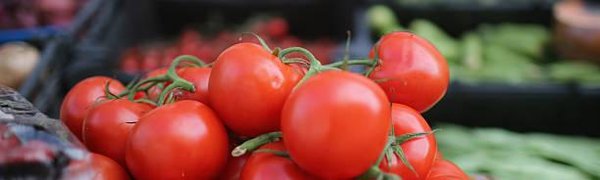 Главная ярмарка Владивостока будет работать один день
