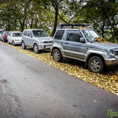 Осень приходит во Владивосток с утренней прохладой, дождем и ворохом желтых листьев