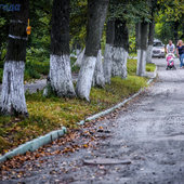 Осень приходит во Владивосток с утренней прохладой, дождем и ворохом желтых листьев