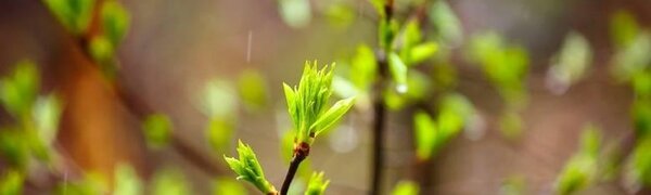 Циклон изменил траекторию, поэтому Приморью достанется меньше осадков в четверг