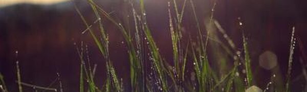 Небольшие дожди и похолодание пришли в Приморье