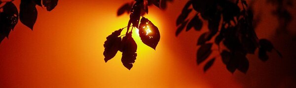 Погода на рабочую неделю в Приморье: самый сильный дождь пройдет в четверг