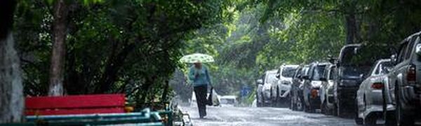 Самые сильные дожди пройдут в южной половине Приморья в четверг