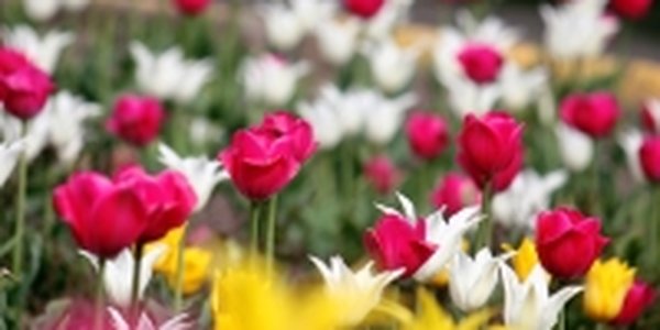В выходные приморцев ждет хорошая погода