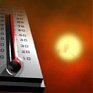 Американские ученые: Экстремальная летняя жара станет нормой