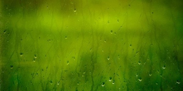 В пятницу в Приморье ожидаются дожди, во Владивостоке — морось