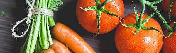 Продуктовая ярмарка развернётся на центральной площади Владивостока 16 и 17 октября