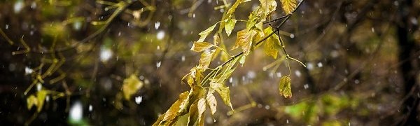 Холодный фронт принесёт в Приморье дождь со снегом