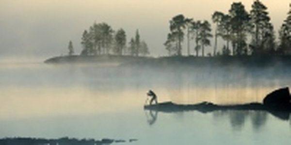 Дикая природа России