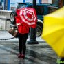 В Приморье объявлено штормовое предупреждение
