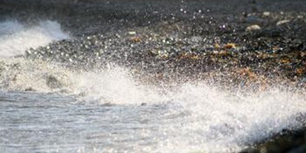 Вода в Амурском заливе прогрелась до +25°С