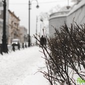 За сутки во Владивостоке выпало более 1,5 декадной нормы снега