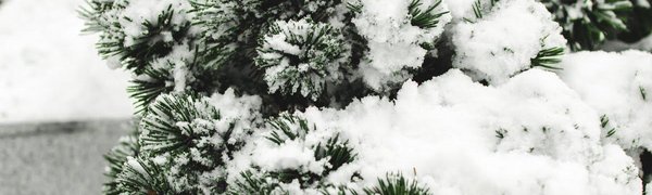 За сутки во Владивостоке выпало более 1,5 декадной нормы снега