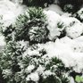 За сутки во Владивостоке выпало более 1,5 декадной нормы снега
