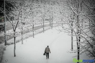 Сегодня на востоке Приморья будет идти сильный снег, на западе похолодает