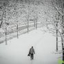 Сегодня на востоке Приморья будет идти сильный снег, на западе похолодает