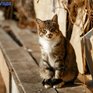 Во второй половине рабочей недели в Приморье станет теплее