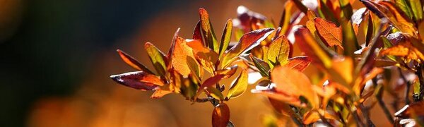 На этой неделе воздух в Приморье прогреется до +12°С