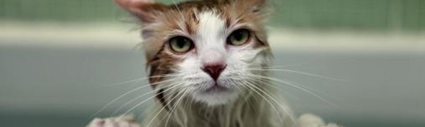 В понедельник ряд домов во Владивостоке отключат от горячей воды