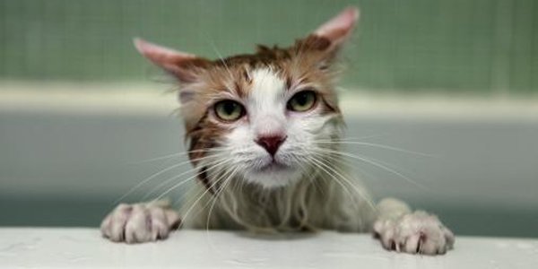 В понедельник ряд домов во Владивостоке отключат от горячей воды