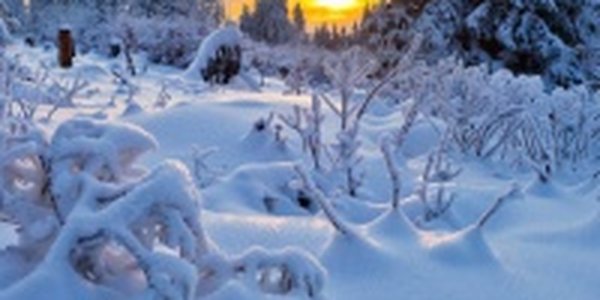 Сегодня самый короткий день в году