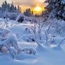Сегодня самый короткий день в году