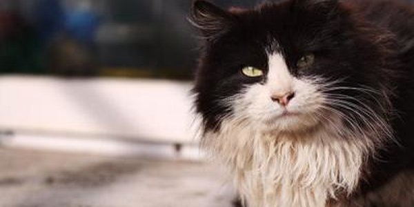 К Приморью приближаются ноябрьские холода