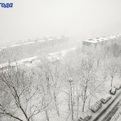 По Приморью шагает зима: снег, гололёд и похолодание до −20 °C