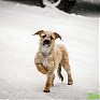 По Приморью шагает зима: снег, гололёд и похолодание до −20 °C