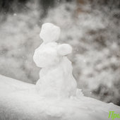 По Приморью шагает зима: снег, гололёд и похолодание до −20 °C