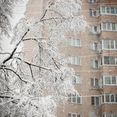 По Приморью шагает зима: снег, гололёд и похолодание до −20 °C