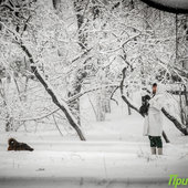 По Приморью шагает зима: снег, гололёд и похолодание до −20 °C