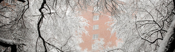 По Приморью шагает зима: снег, гололёд и похолодание до −20 °C