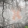 По Приморью шагает зима: снег, гололёд и похолодание до −20 °C