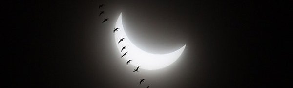 Солнечное затмение в снимках Instagram