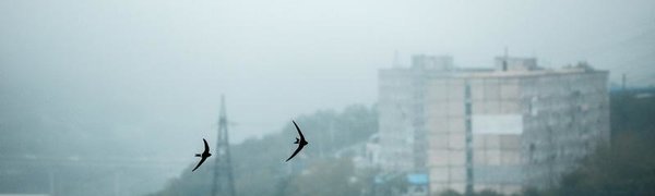 Озвучен прогноз погоды на рабочую неделю в Приморье и Владивостоке