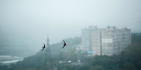 Вечером облака накроют Приморье, пройдут кратковременные дожди