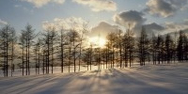 Тепло задержится в Приморье только на сегодня