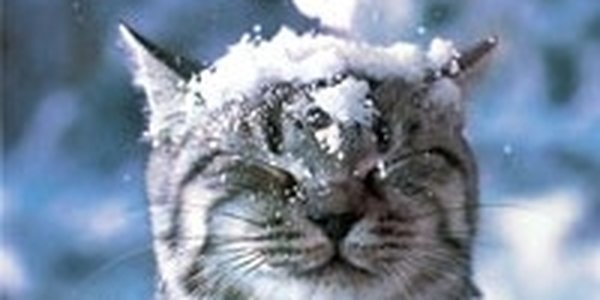 Во Владивостоке на выходных будет морозно