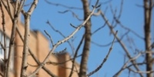 На дворе март, а в Приморье по-прежнему холодно